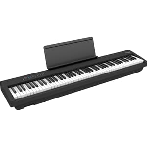 Roland Portable Piano