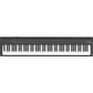 FP-30X-BK_Rel fp-30x-bk_3.jpg