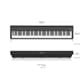 FP-30X-BK_Rel fp-30x-bk_7.jpg
