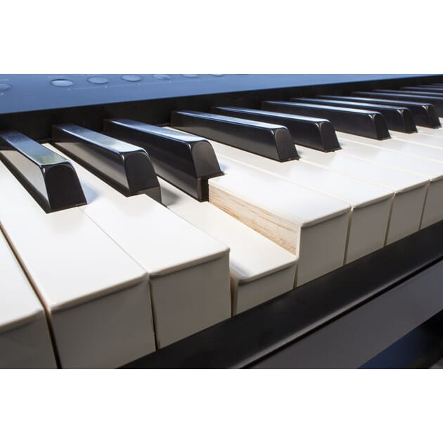 FP-90X-BK_Rel FP-90x_RealFeel-KeyBoards_045A5836.jpg