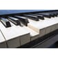 FP-90X-BK_Rel FP-90x_RealFeel-KeyBoards_045A5836.jpg
