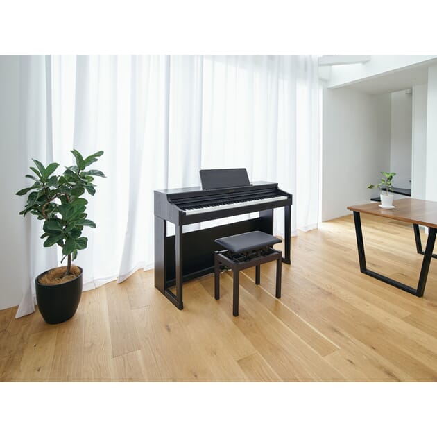 RP701-CB_Rel RP701-DR_image_02_en.jpg