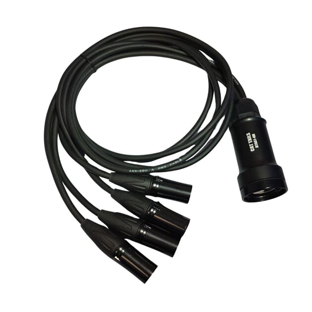 CATLink female 2.jpg