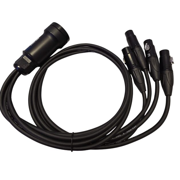 CatLink Female 3.jpg