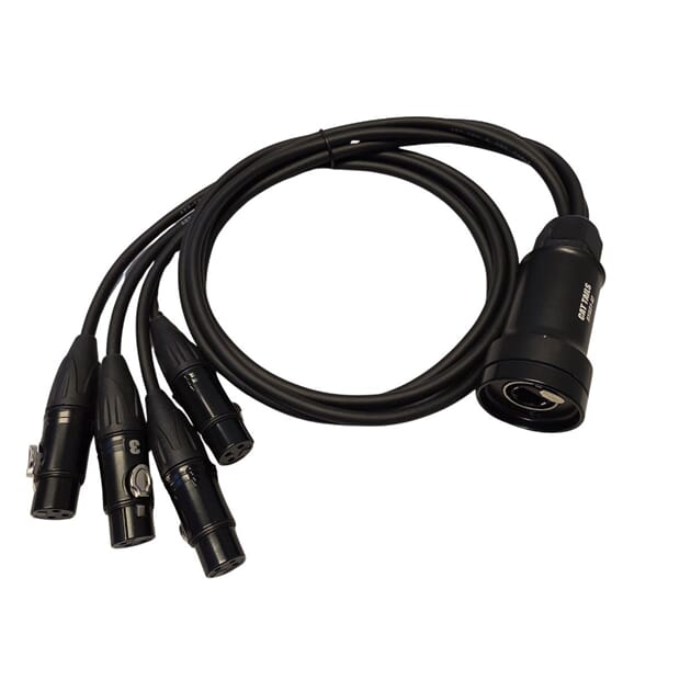 CatLink Female 4.jpg