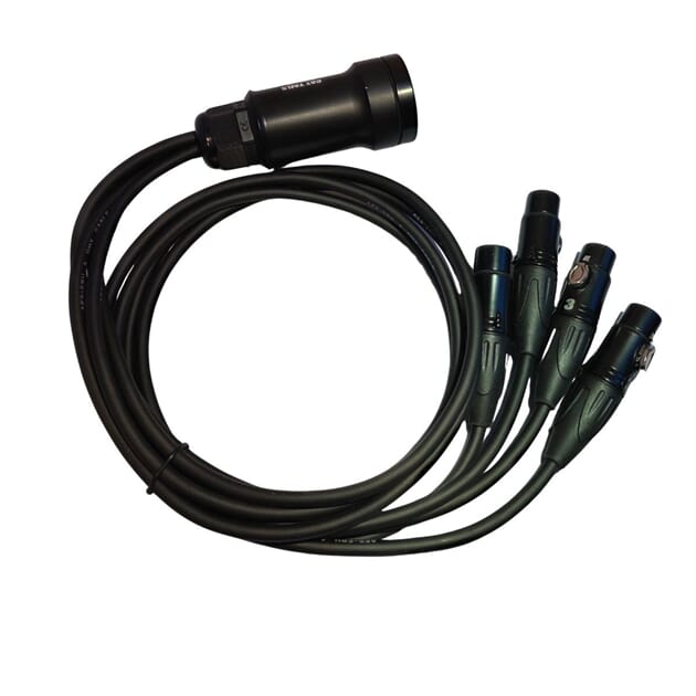 CatLink Female 5.jpg